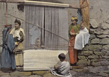Weaver in Kabylie